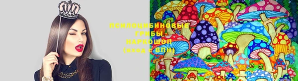 твердый Медвежьегорск