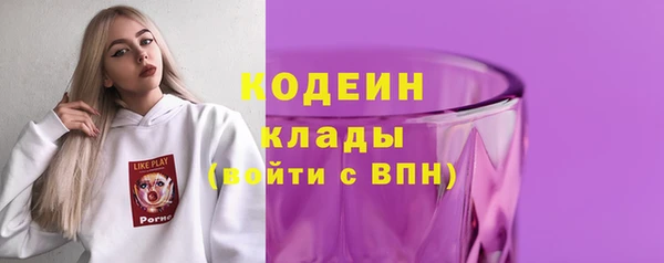 мдпв Магас