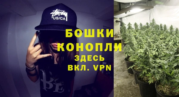 твердый Медвежьегорск