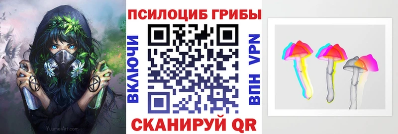 наркота  Ростов-на-Дону  Псилоцибиновые грибы мицелий 