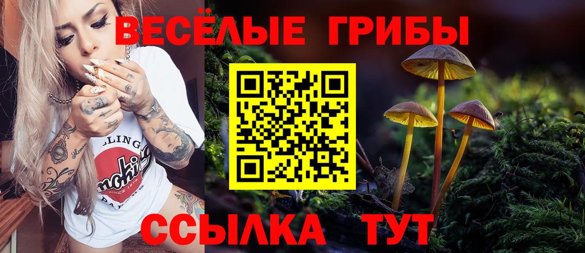 даркнет сайт  Псилоцибиновые грибы GOLDEN TEACHER  Вход с VPN  Ростов-на-Дону 